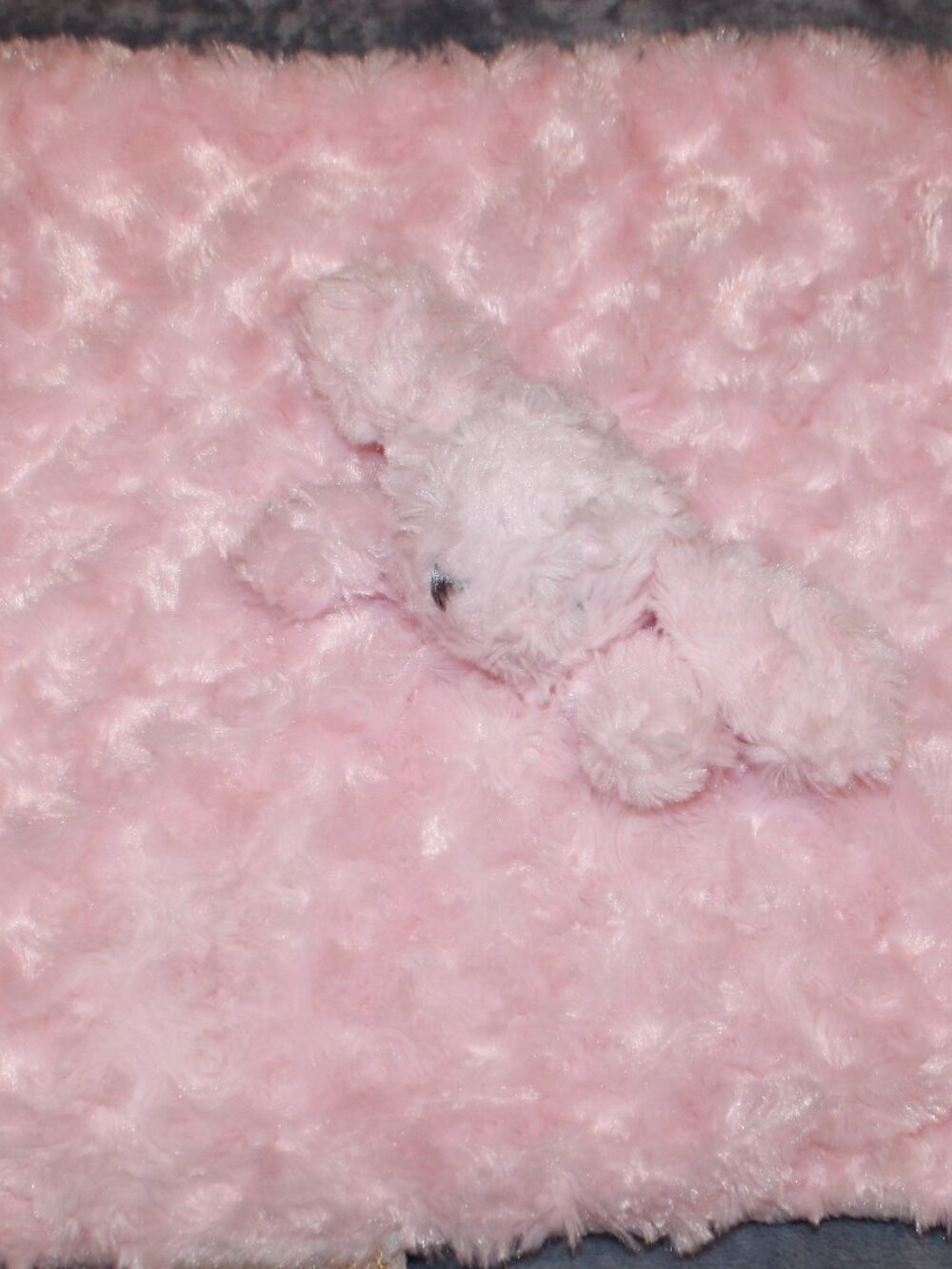 Blankets & Beyond Pink Bunny Rabbit Security Blanket Lovey Rosette Swirl Minky
